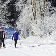 Almenrunde (Skating) und Kristallloipe (klassisch) verlaufen nebeneinander