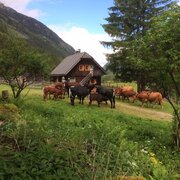 Almhütte
