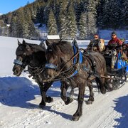 Pferdeschlittenfahrt Angererhof