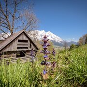 bachrundweg_img_43875141