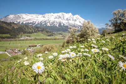 bachrundweg_img_43875142