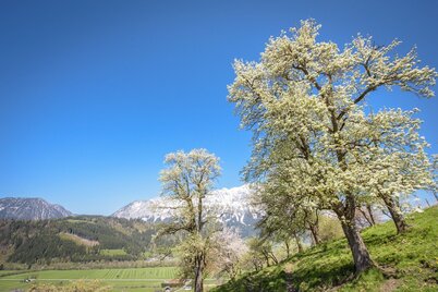 bachrundweg_img_43875143