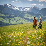 152 - CHF_20250514_124419-2.jpg