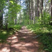 bewegungsarena - bienenmuseumweg (m 8)_img_58223656