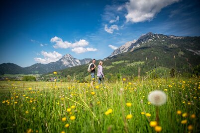 61 - CHF_20250514_103203.jpg