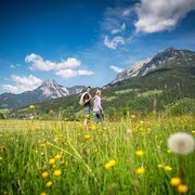 61 - CHF_20250514_103203.jpg