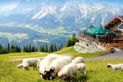 Bike & Hike Station Planai