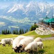 Bike & Hike Station Planai