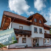 myNests-Apartment-Haus-im-Ennstal-Schladming-Dachs