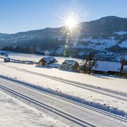 Birnberg im Winter