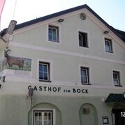 Bockwirt