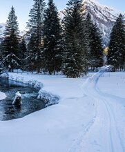 Entlang vom Bräualmbach in die Natur