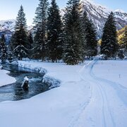 Entlang vom Bräualmbach in die Natur