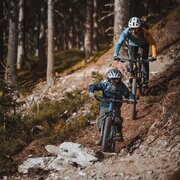 Buckelwald Trail
