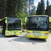 Planai Linien- und Reisebus