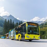 Der Planai-Wanderbus zum Bodensee
