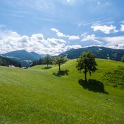Wunderbarer Ausblick Richtung Grubdörfl