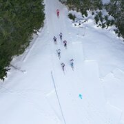 Dachsteinlauf 10 km Classic