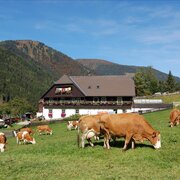 Der Perweinhof