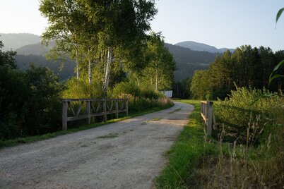 wörschacher- und enns moosweg_img_61837266