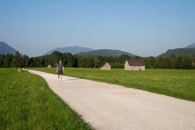 wörschacher- und enns moosweg_img_61837154