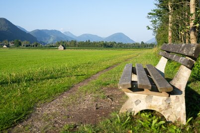 wörschacher- und enns moosweg_img_70372247