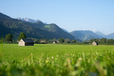 wörschacher- und enns moosweg_img_70372265