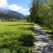 Ennsrundweg im Frühling