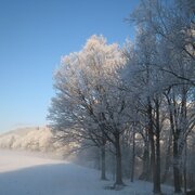 Winterlandschaft entlang der Enns