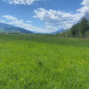 img-20250502-wa0033.jpg