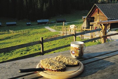 Steirerkas-Kulinarium auf der Viehbergalm