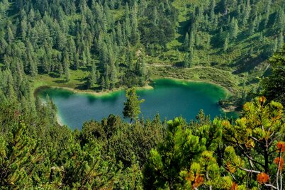 Immer und immer Seen