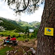 Glücksplatz auf der Tauplitzalm