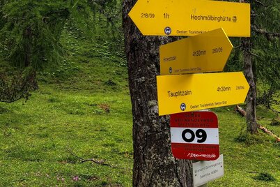 Perfektes Leitsystem