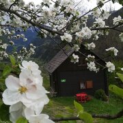 Blühende Aussichten