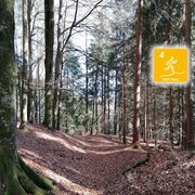 Schon früh im Jahr kann am Fürstensteig gelaufen werden
