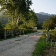 wörschacher- und enns moosweg_img_61837266