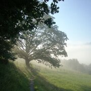 f.x. mayr weg_img_62043491