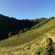 Almweiden am Weg zur Finsterkaralm