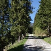Entlang des Fischeralmweges