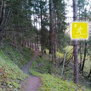 Singeltrail Am Fischersteig