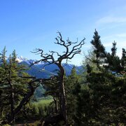 freienstein_img_11220428