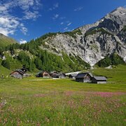 Almenlandschaft auf der Ursprungalm