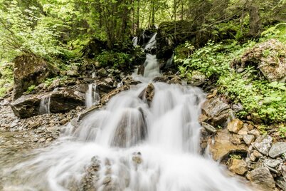 Im Frühjahr wasserreicher Zufluss zum Steinriesenbach entlang des Weges # 778