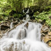 Im Frühjahr wasserreicher Zufluss zum Steinriesenbach entlang des Weges # 778