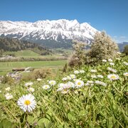 große niederöblarner runde_img_43875142
