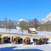 horse-drawn-sleighs at the trail head for snowshoeing & horse-drawn-sleigh rides in Rohrmoos