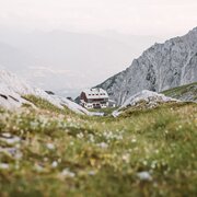 Blick auf das Guttenberghaus