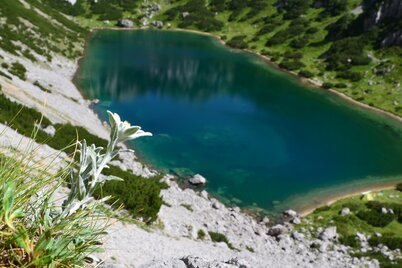 guttenberghaus - ramsau-ort | dachstein sonnen-runde: etappe 03_img_12448587