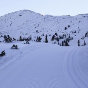 Planneralm Höhenloipe ganz frisch am Morgen.